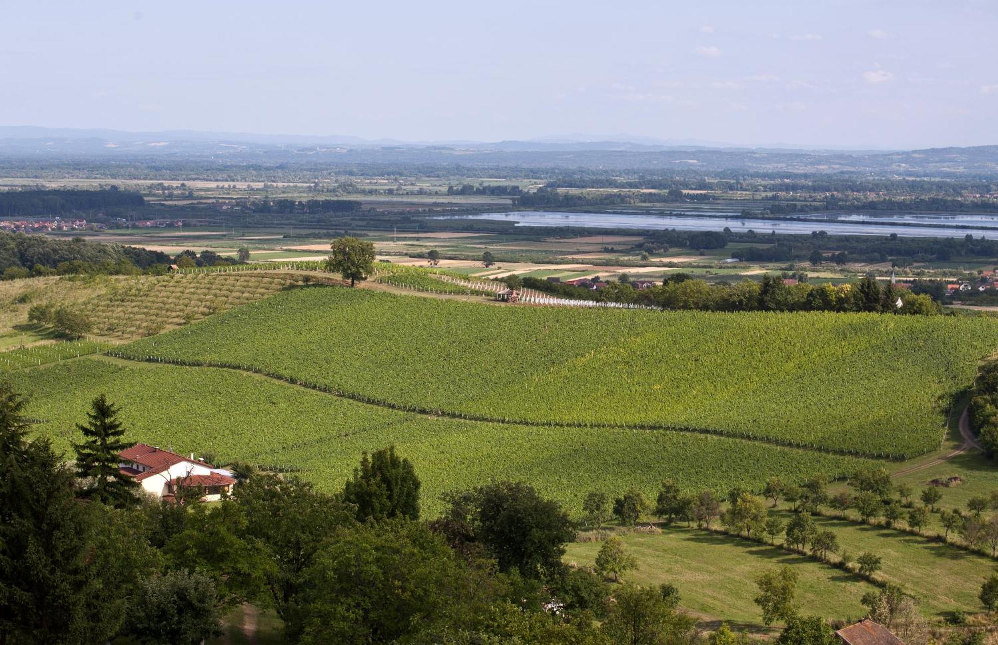 Stupnicki Dvori Winery Hotel Brodski Stupnik ภายนอก รูปภาพ